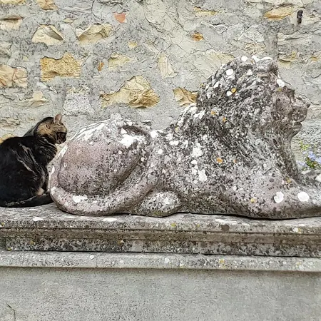 La Torre In Chianti Apartment