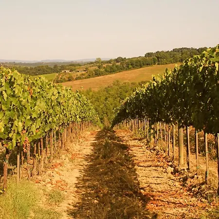 La Torre In Chianti